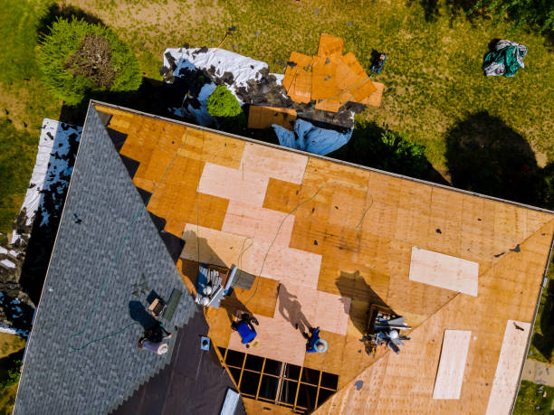 Best Roof Gutter Cleaning  in Brillion, WI