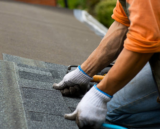 Best Local Roofing Companies  in Brillion, WI