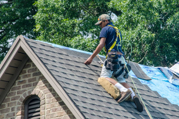 Best Roof Waterproofing Services  in Brillion, WI
