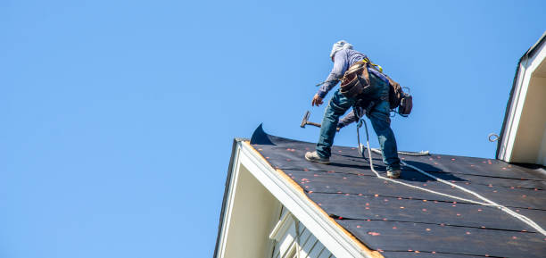 Best New Roof Installation  in Brillion, WI